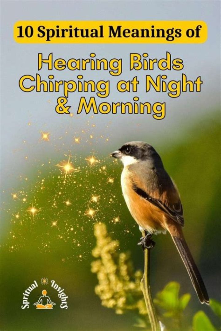10 Spiritual Meanings of Hearing Birds Chirping at Night & Morning