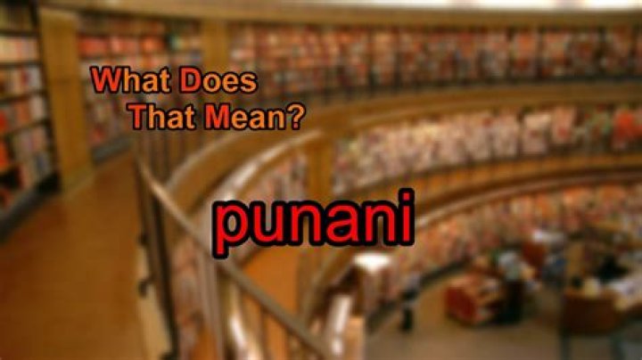 4 types of punani a lot of men love so much (listen very carefully) 4