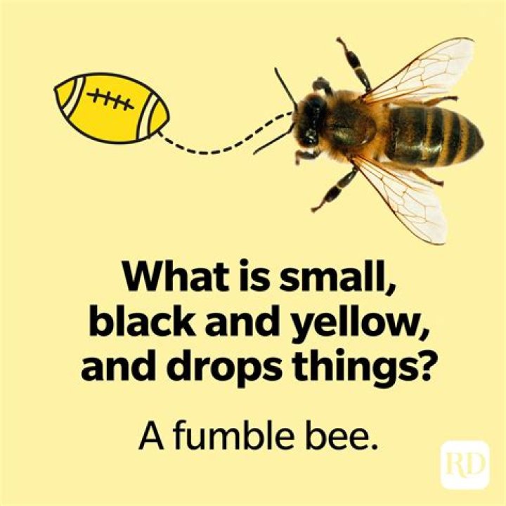 46 Bee Puns Your Whole Hive Will Love Funny Bee Jokes & Honey Puns