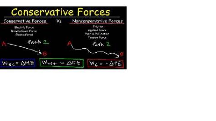A Conservative Force In American Politics