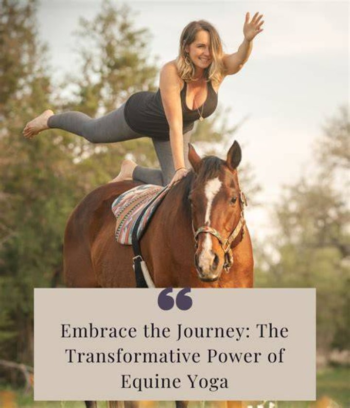 A Journey Of Equine Mastery