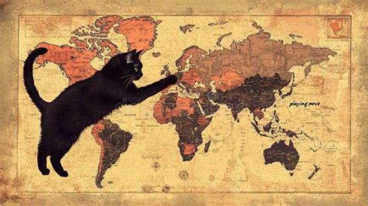 A Playful Journey Of Discovery