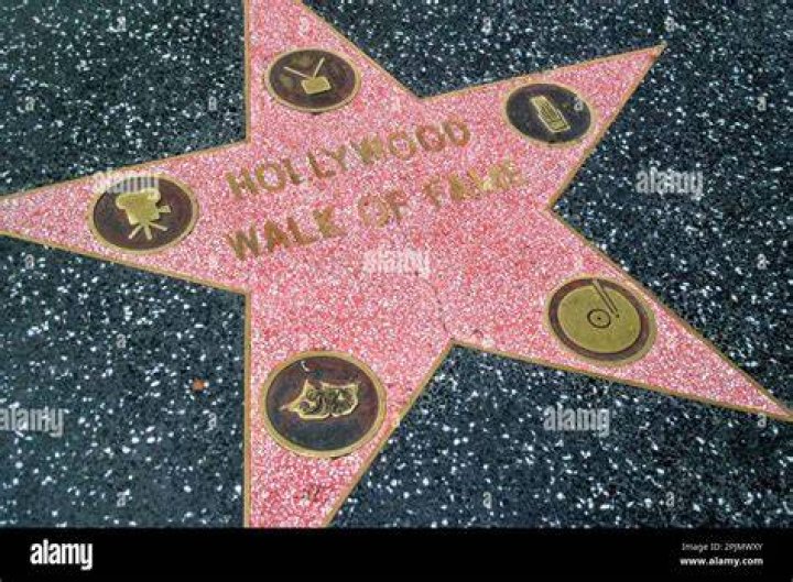 A Shining Star In Hollywood
