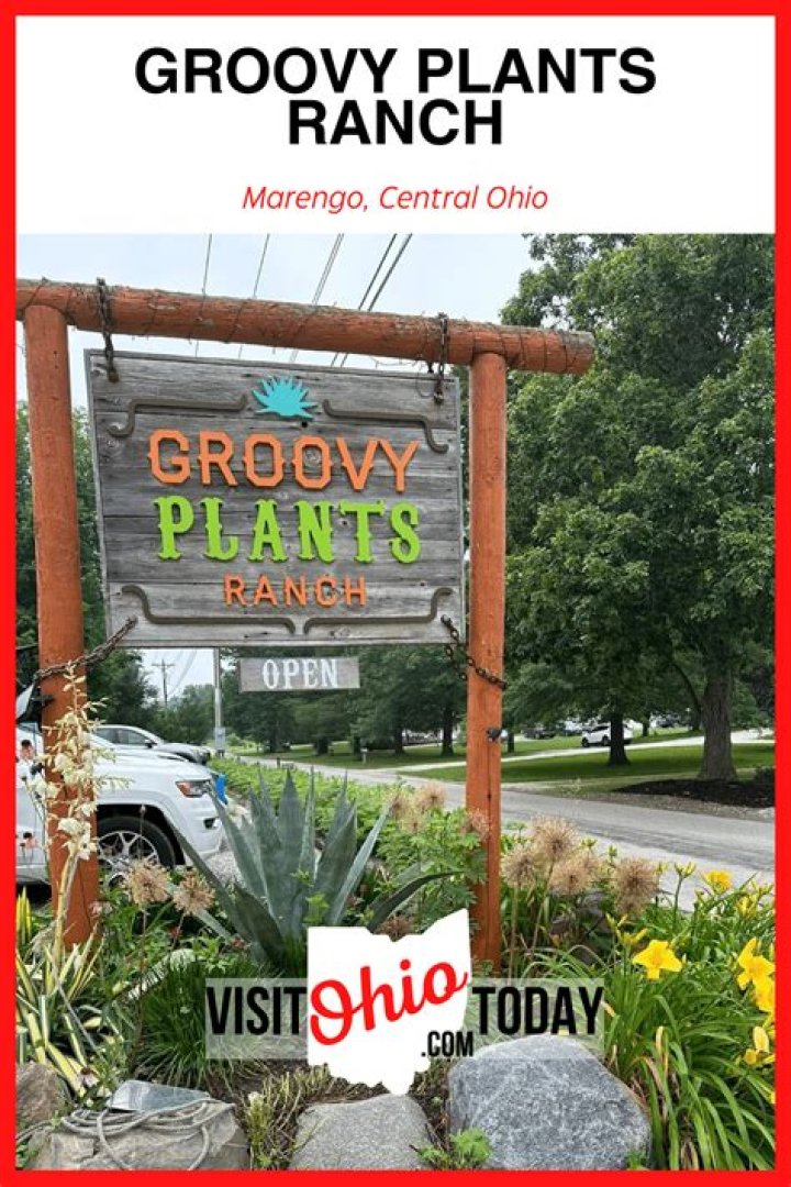 A Visit To Groovy Plants Ranch Is The Perfect Way To Nurture Your Green