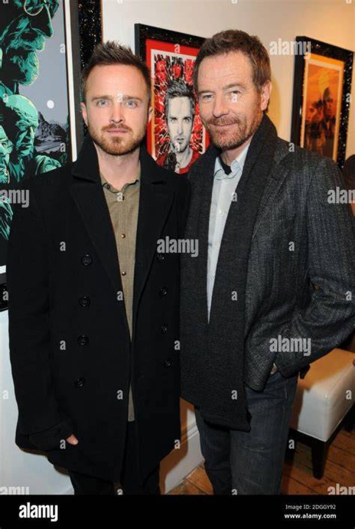 Aaron Paul and Bryan Cranston took the stage to talk about Breaking