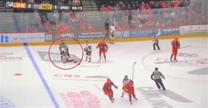 Adam Johnson cause of death How did the Nottingham Panthers forward