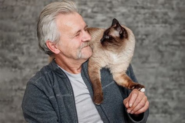 Adopt an older cat or dog for free in Irving this Saturday in honor of
