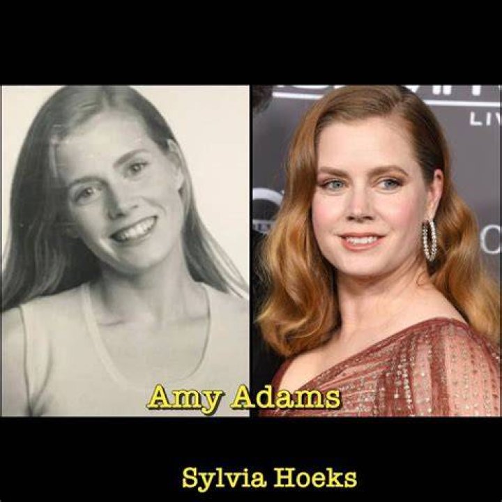 Amy Adams Pretty Celebrities, Girl Celebrities, Hollywood Celebrities