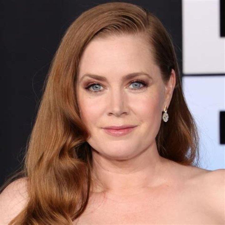 Amy Adams 'I thought, if I can&rsquo;t figure this out, I can&rsquo;t work any