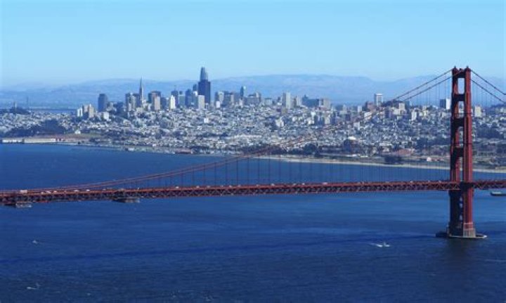 Amy N. Barton San Francisco, California, United States Professional
