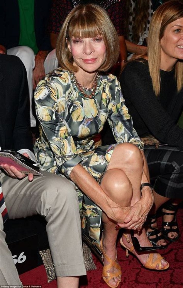 Anna Wintour Feet (145 photos) feet.wiki
