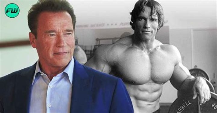 Arnold Schwarzenegger Denies He Used State Funds to Cover Up Affairs