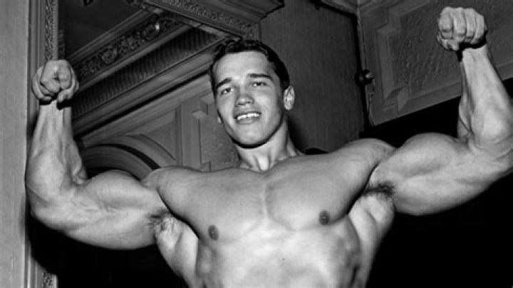Arnold Schwarzenegger 'mistress' denies causing marriage breakup