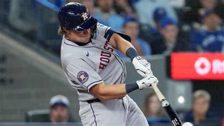 Astros centre fielder Jake Meyers has shoulder surgery