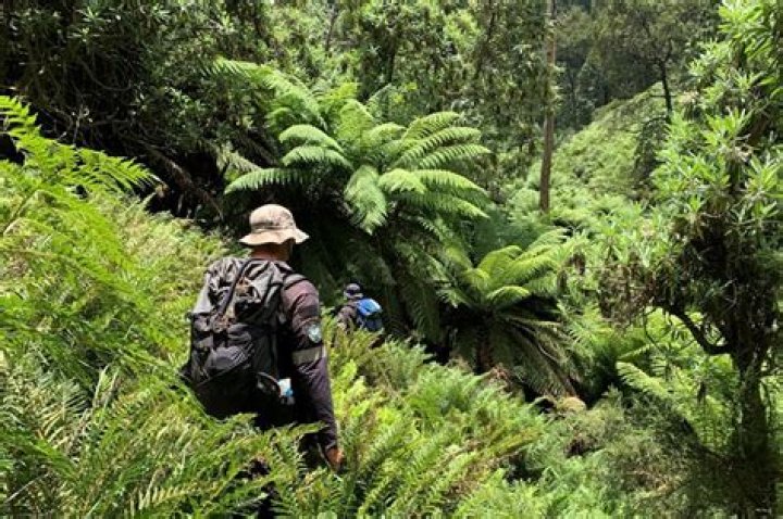 Australian Hiker Day 18 Concerns