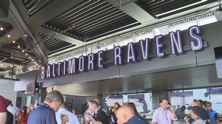 Baltimore Ravens Fan Takes A Tumble During The Game [VIDEO]