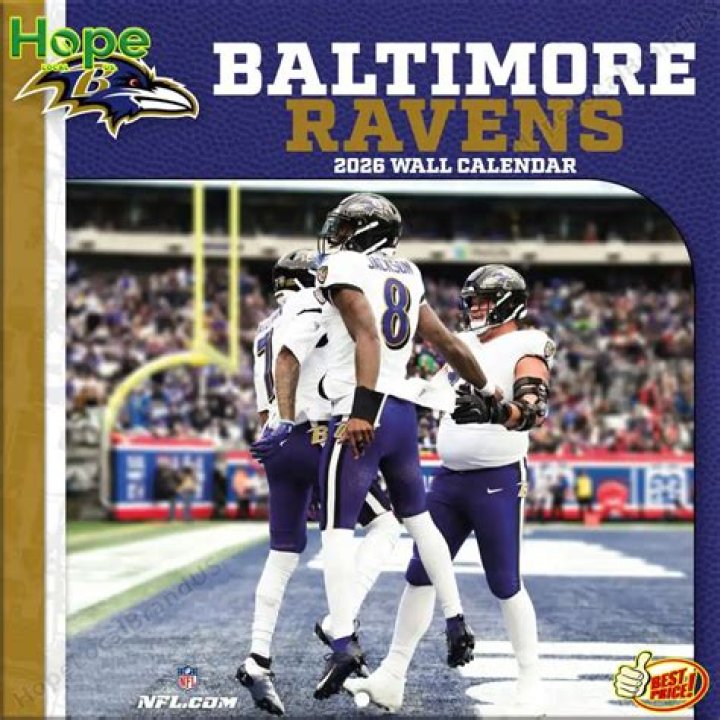 Baltimore Ravens&rsquo; Dez Bryant tackles scoutteam role, earns compliments