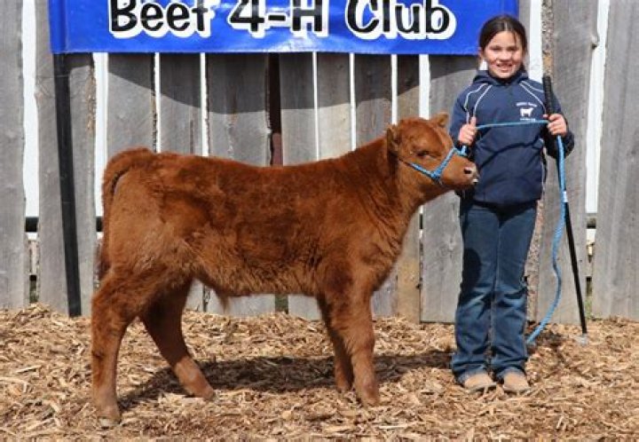 Bentley Carter Big Valley 4H