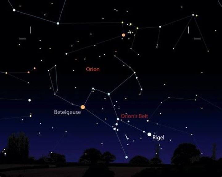 Betelgeuse Production & Contact Info IMDbPro