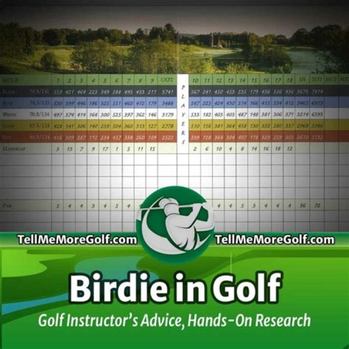 Birdie in Golf What the Scoring Term Means for Your Game