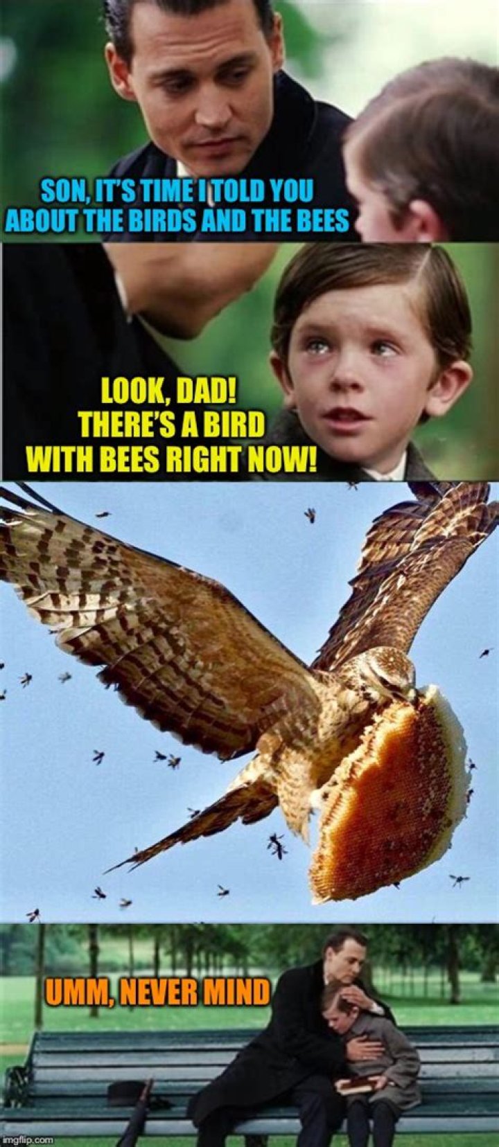 Birds and bees Imgflip