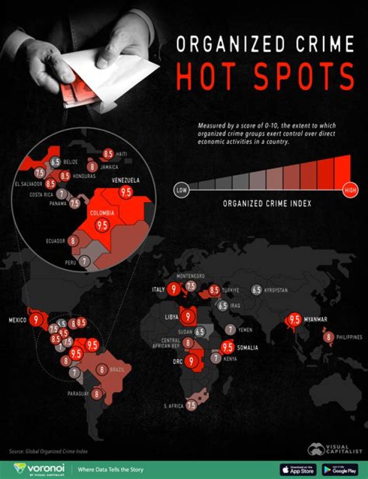 Bivol by Organized Crime and Corruption Reporting Project