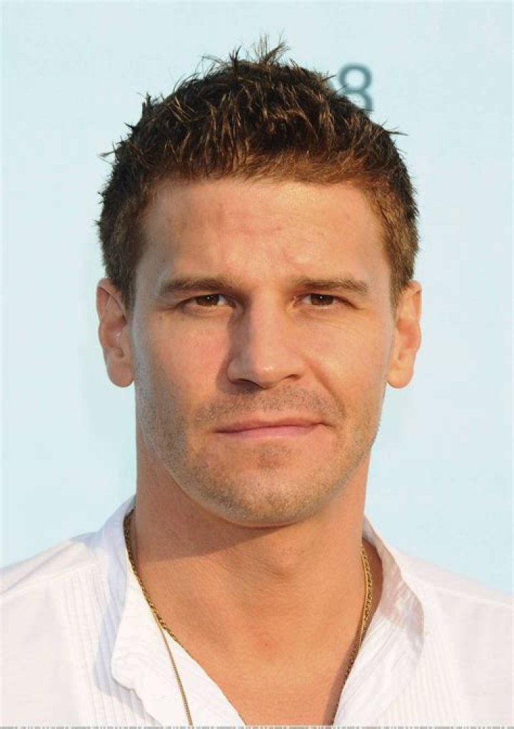 Bones Photo David Boreanaz David boreanaz, Bones actors, Bones tv series