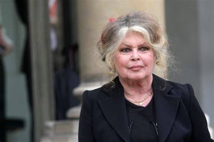Brigitte Bardot Cel&yacute; svet ma pozn&aacute;. Je &scaron;kand&aacute;l, že moja krajina mi