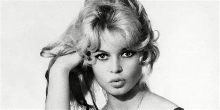 brigitte bardot Google Search in 2020 Nose contouring, Body types