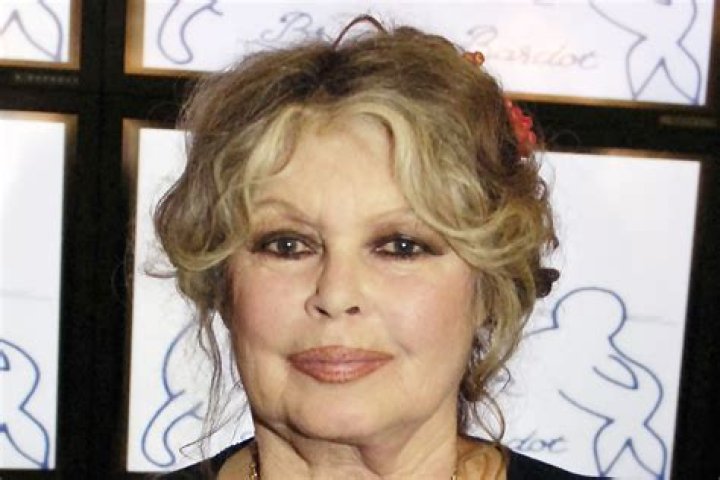 Brigitte Bardot Net Worth 2023 Film Salary Career Bf Age