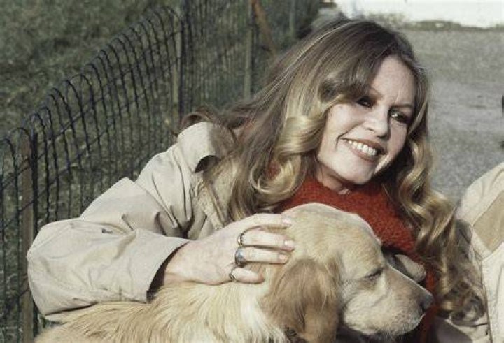 Brigitte Bardot Net Worth (Updated February 2024) Age, Bio, Wiki...