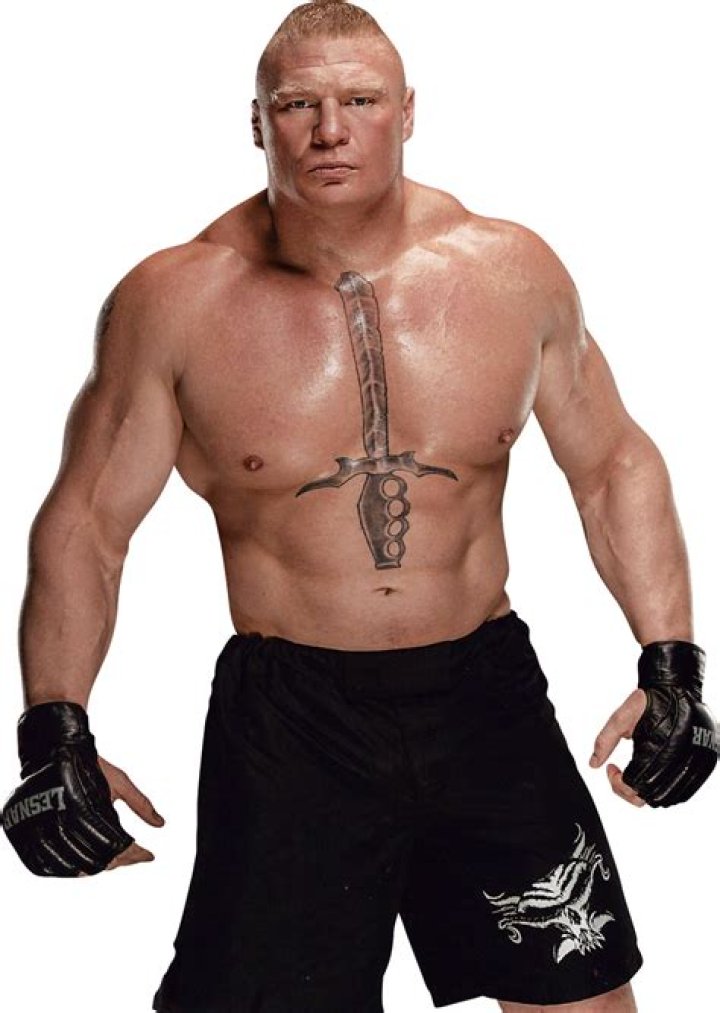 Brock Lesnar by WWEPNGUPLOADER on DeviantArt