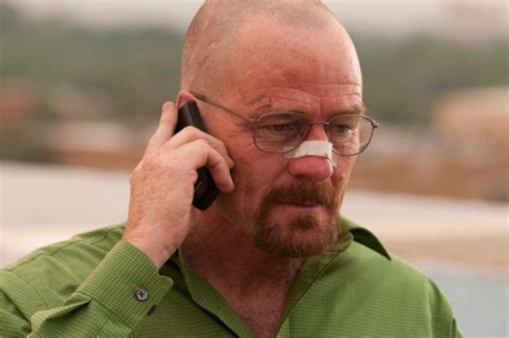 Bryan Cranston Couldn't Stand One Of His Breaking Bad CoStars