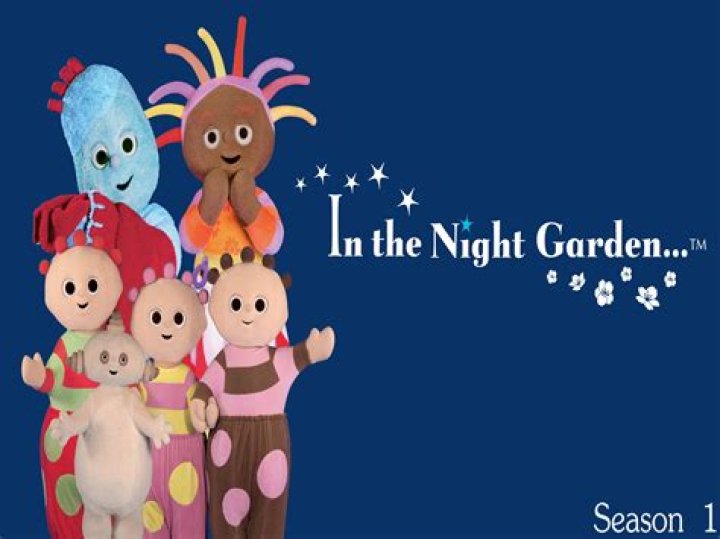 Buy IN THE NIGHT GARDEN Ninky Nonk PullAlong Wobble Train Online at
