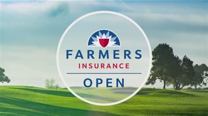 Cameron Peterson Insurance Agent Farmers Insurance LinkedIn