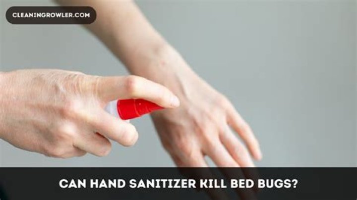 Can Hand Sanitizer Kill Bed Bugs? Pest Wisdom