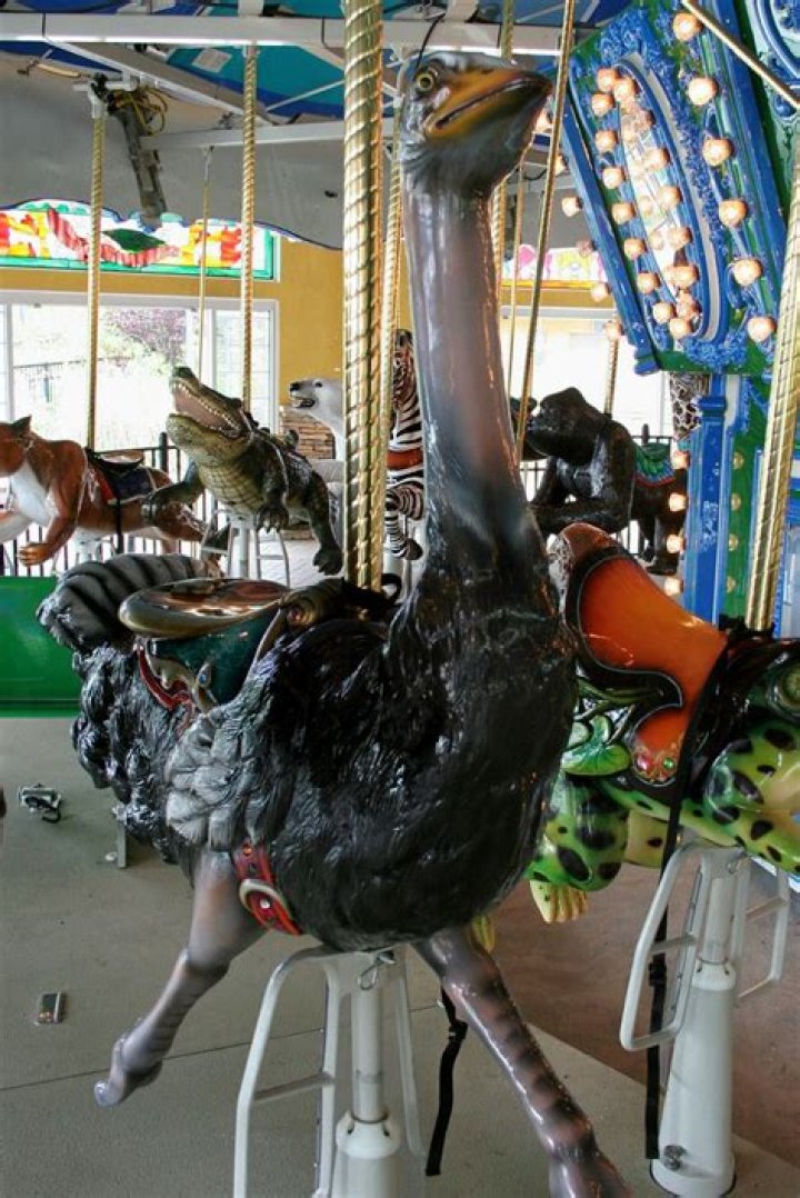 Carousel at Turtle Back Zoo YouTube