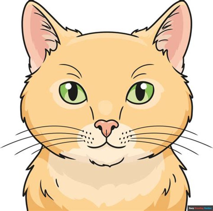 Cat Says &ldquo;Well,Hi&rdquo; In a Southern Accent And People Are Loving It