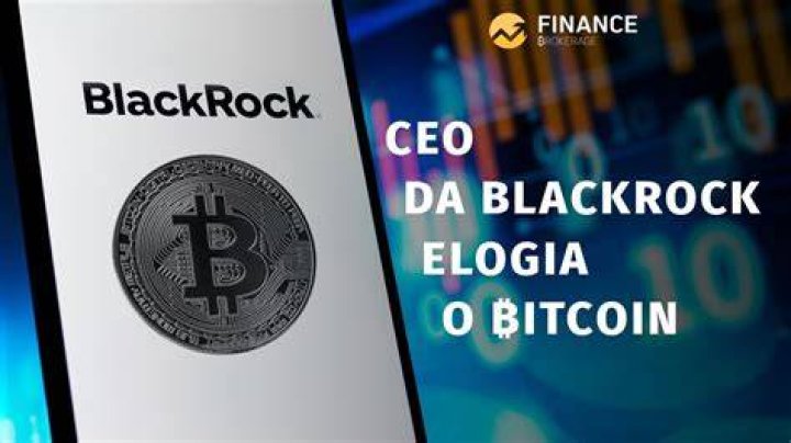 CEO da BlackRock elogia o Bitcoin e diz que ele pode ser uma reserva de