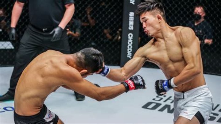 Christian Lee Evolve MMA Asia's 1 Mixed Martial Arts Gym