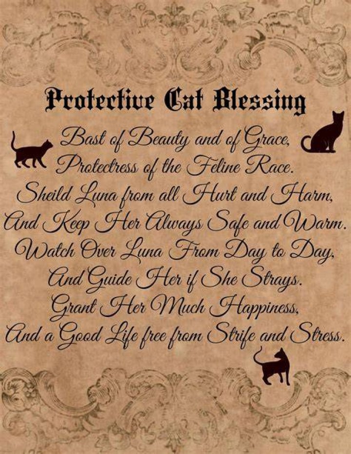 Custom Cat Familiar Blessing Spell Digital Download Book of Etsy