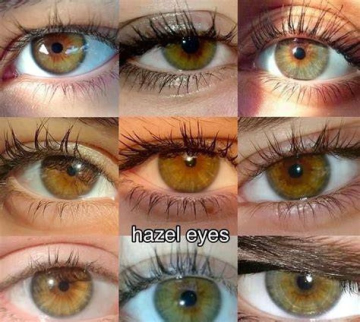 dark hazel amber eye eyes Pinterest Amber eyes, Amber and Eye