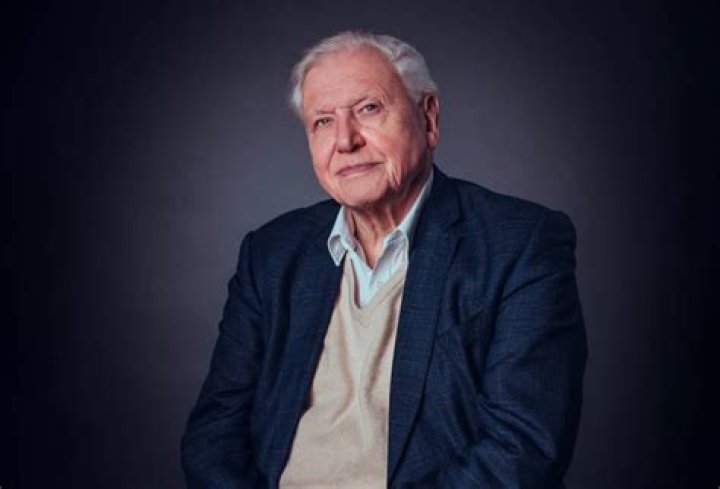 David Attenborough Age, Net Worth, Height, Affair, and More
