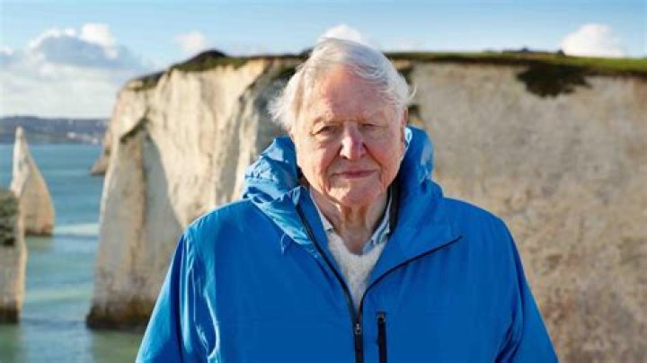 David Attenborough Mafab.hu