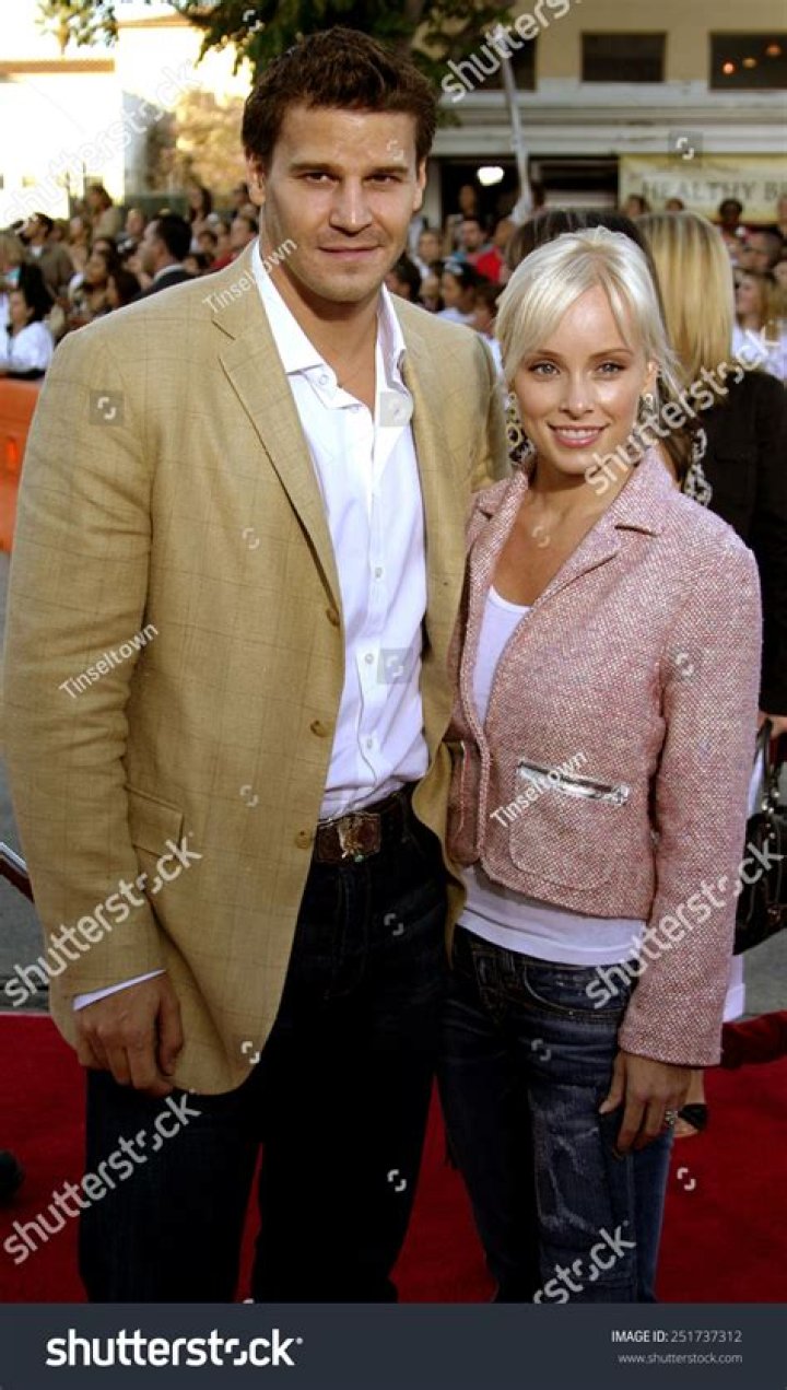 David Boreanaz admits he cheated on his wife The Blemish