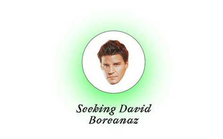 David Boreanaz Says Affair Made His Marriage Stronger HuffPost