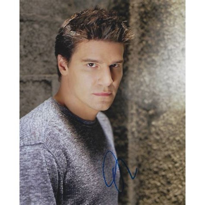 David David Boreanaz Photo (640846) Fanpop