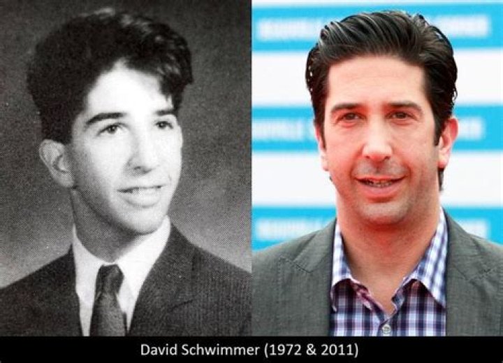 David Schwimmer Age, Bio, Birthday, Family, Net Worth National Today