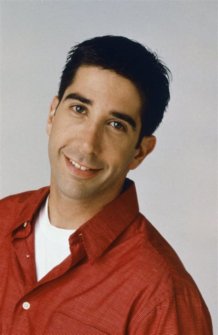 David Schwimmer On Friends Did David Schwimmer Play Russ on Friends