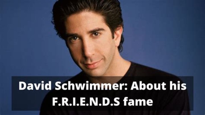 David Schwimmer says &lsquo;Friends&rsquo; fame made him &lsquo;want to hide&rsquo; National